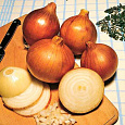 Лук Репчатый Золотничок