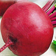 Свёкла столовая Багряный шар Свёкла столовая Багряный шар